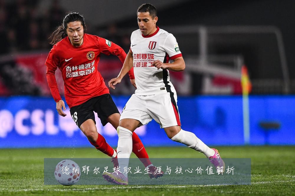 德纳耶尔足球职业生涯与核心价值解析