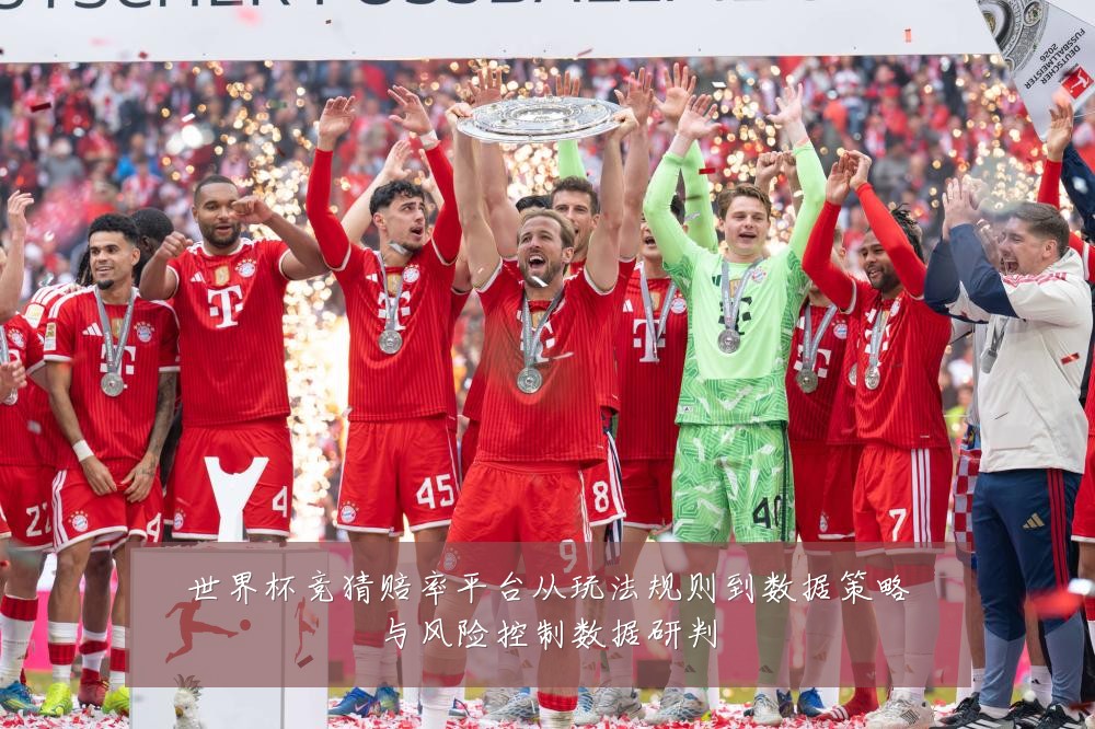 世界杯竞猜赔率平台从玩法规则到数据策略与风险控制数据研判